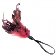 Бдсм и фетиш, перья