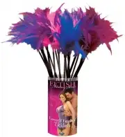 Бдсм и фетиш, перья