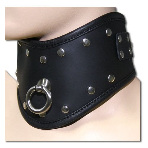 Ошейник photo 1