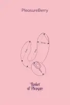Вибратор для пар FairyGasm PleasureBerry violet, зарядный кейс, пульт ДУ photo 10