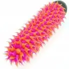 Вибратор SHACKADELIC VIBE ORANGE PINK photo 2